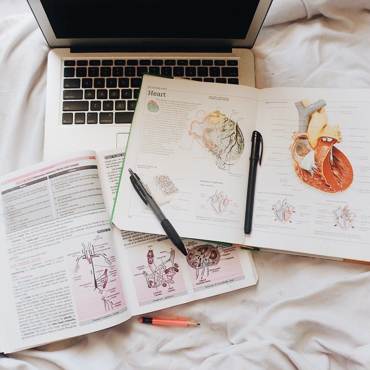 Choose the International Educational Destination for Doing MBBS